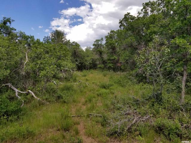 637 Wolf Hollow Rd - Photo 1