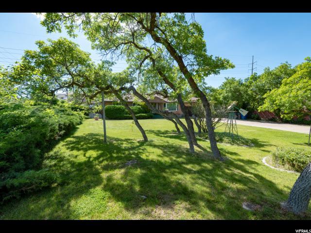 4995 Ben Lomond - Photo 1