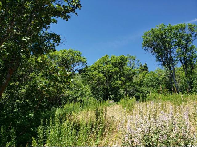 107 E. Upper Oakwood Dr - Photo 1