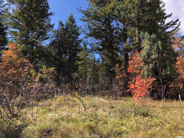 0 Lot 434 Porcupine Pass - Photo 1
