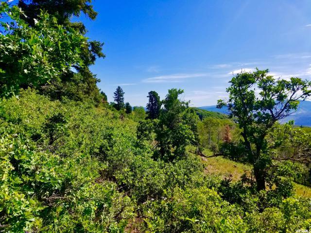 2745 Valley View Rd - Photo 1