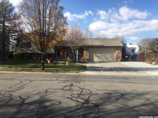 11832 Buckwheat Way - Photo 1