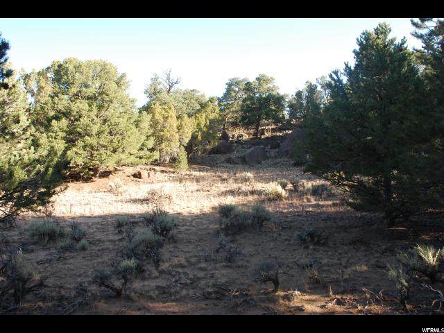 687 Sr 12 Hwy - Photo 1