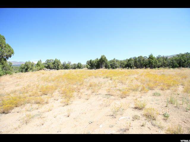 12798 Solitude Dr - Photo 1
