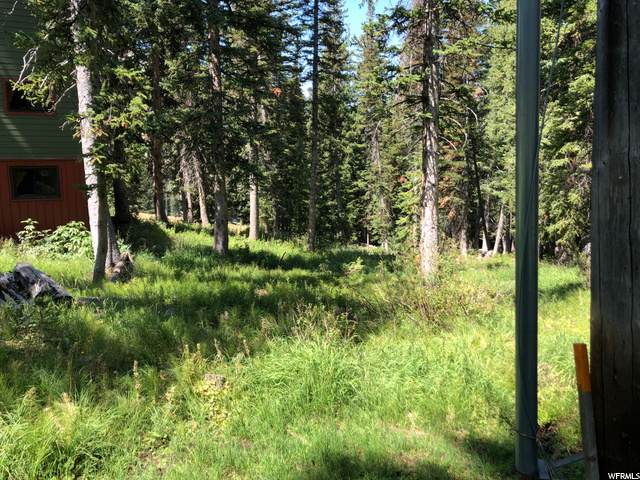 8443 Snake Creek Rd - Photo 1