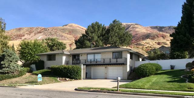 1191 Michelle Dr - Photo 1