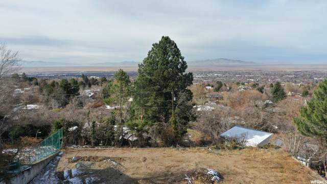 1058 1300 - Photo 1