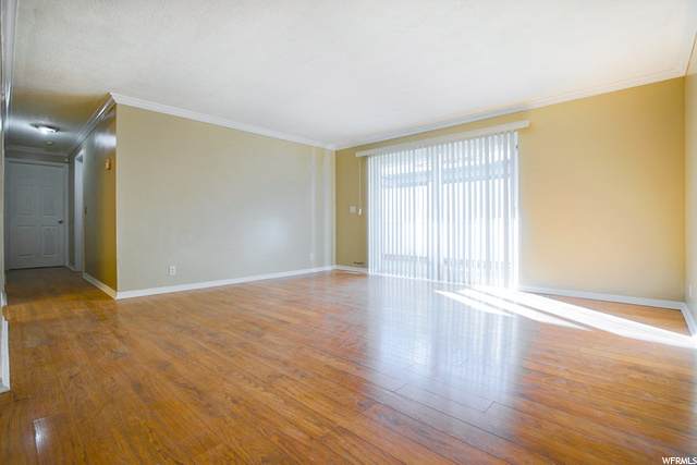 881 Maple View Dr - Photo 1
