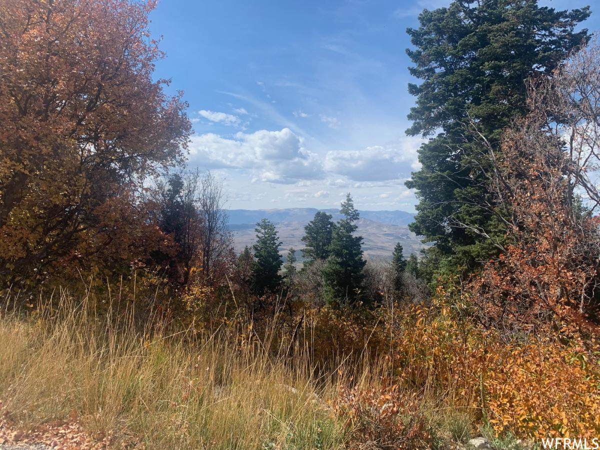 23750 Davis Ridge Dr - Photo 1