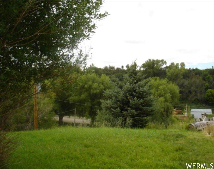 5619 Docs Ln - Photo 1