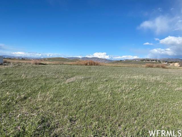2956 Country Dr - Photo 1