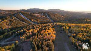 https://bt-photos.global.ssl.fastly.net/wasatch/orig_boomver_2_2024604-1.jpg