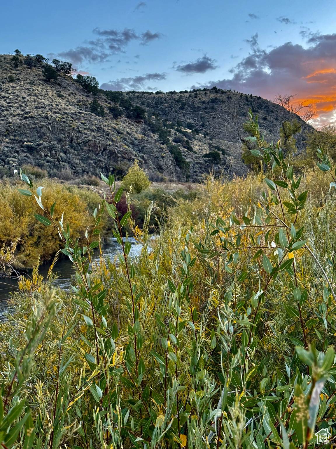 https://bt-photos.global.ssl.fastly.net/wasatch/1280_boomver_2_2033490-1.jpg