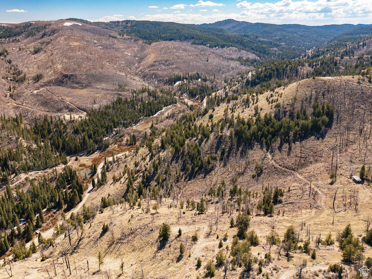  Address Not Published - Photo 1