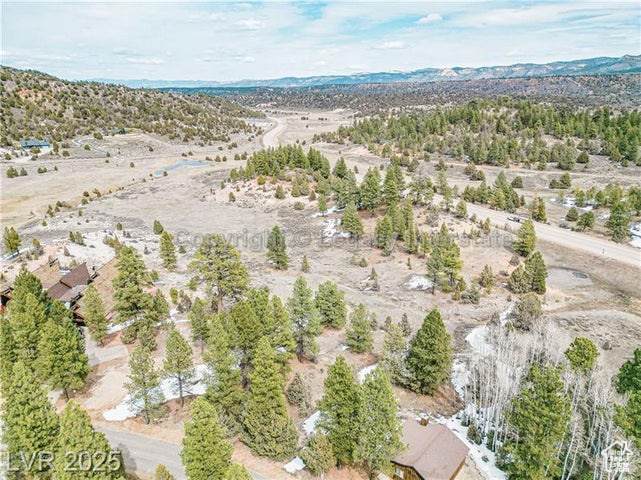 2810 Dead Horse Loop - Photo 1