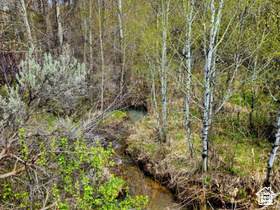https://bt-photos.global.ssl.fastly.net/wasatch/1280_boomver_3_2084834-1.jpg