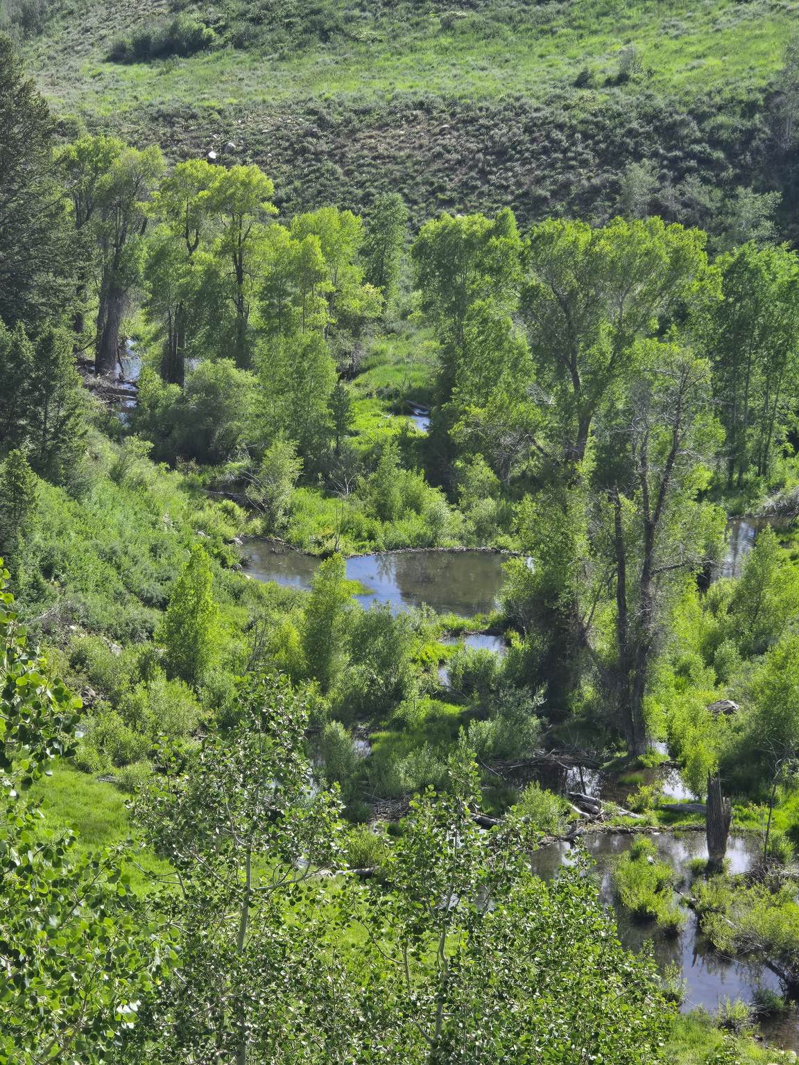 6621 Middle Fork Dr - Photo 1