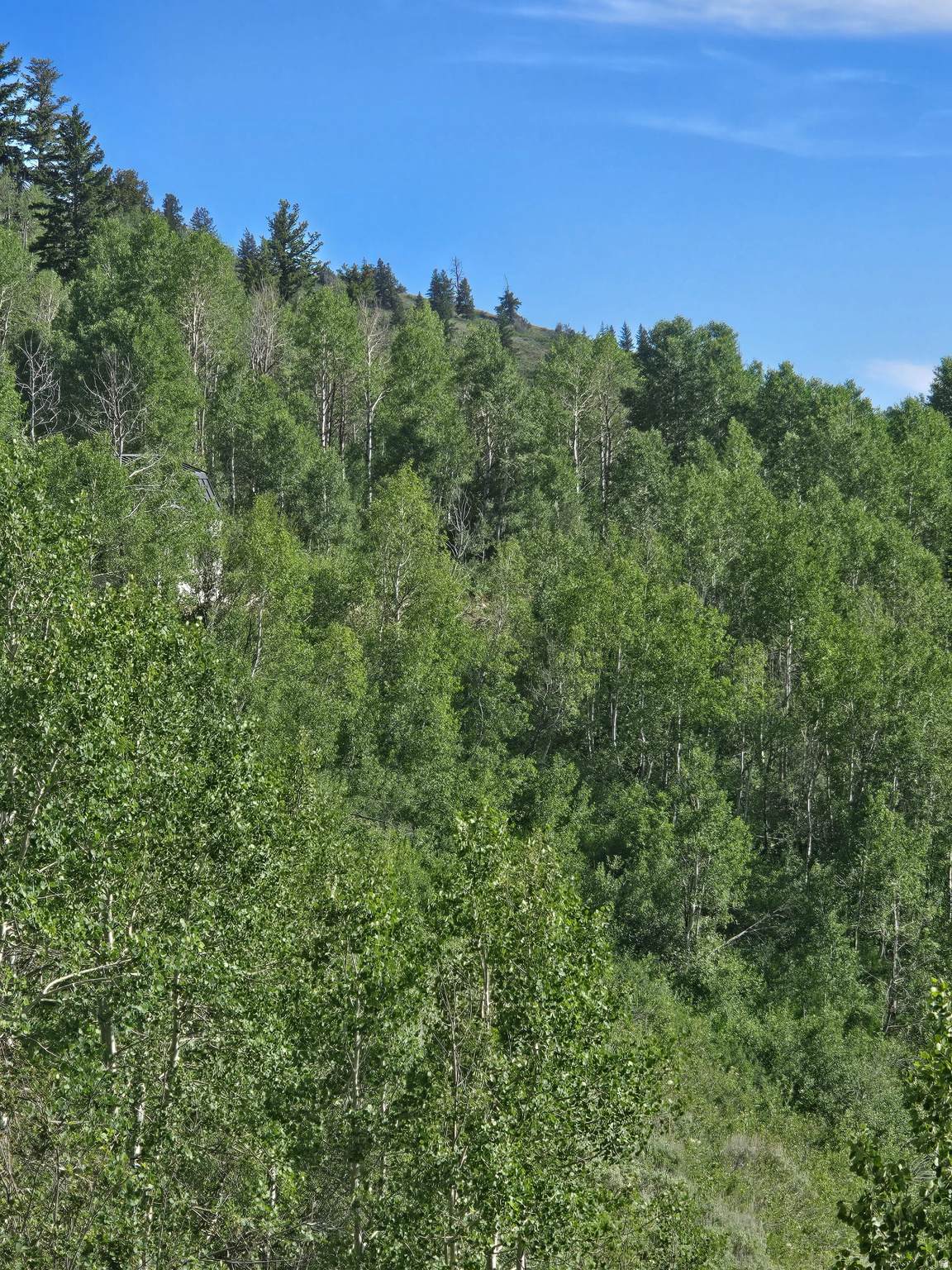 https://bt-photos.global.ssl.fastly.net/wasatch/orig_boomver_2_2107154-1.jpg