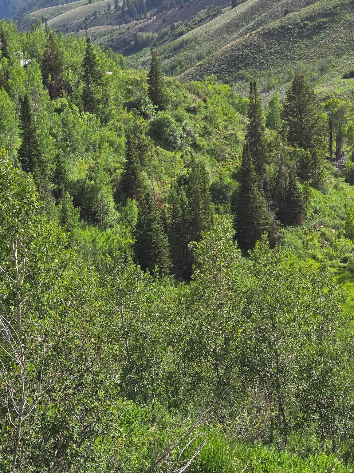 https://bt-photos.global.ssl.fastly.net/wasatch/orig_boomver_2_2107154-1.jpg
