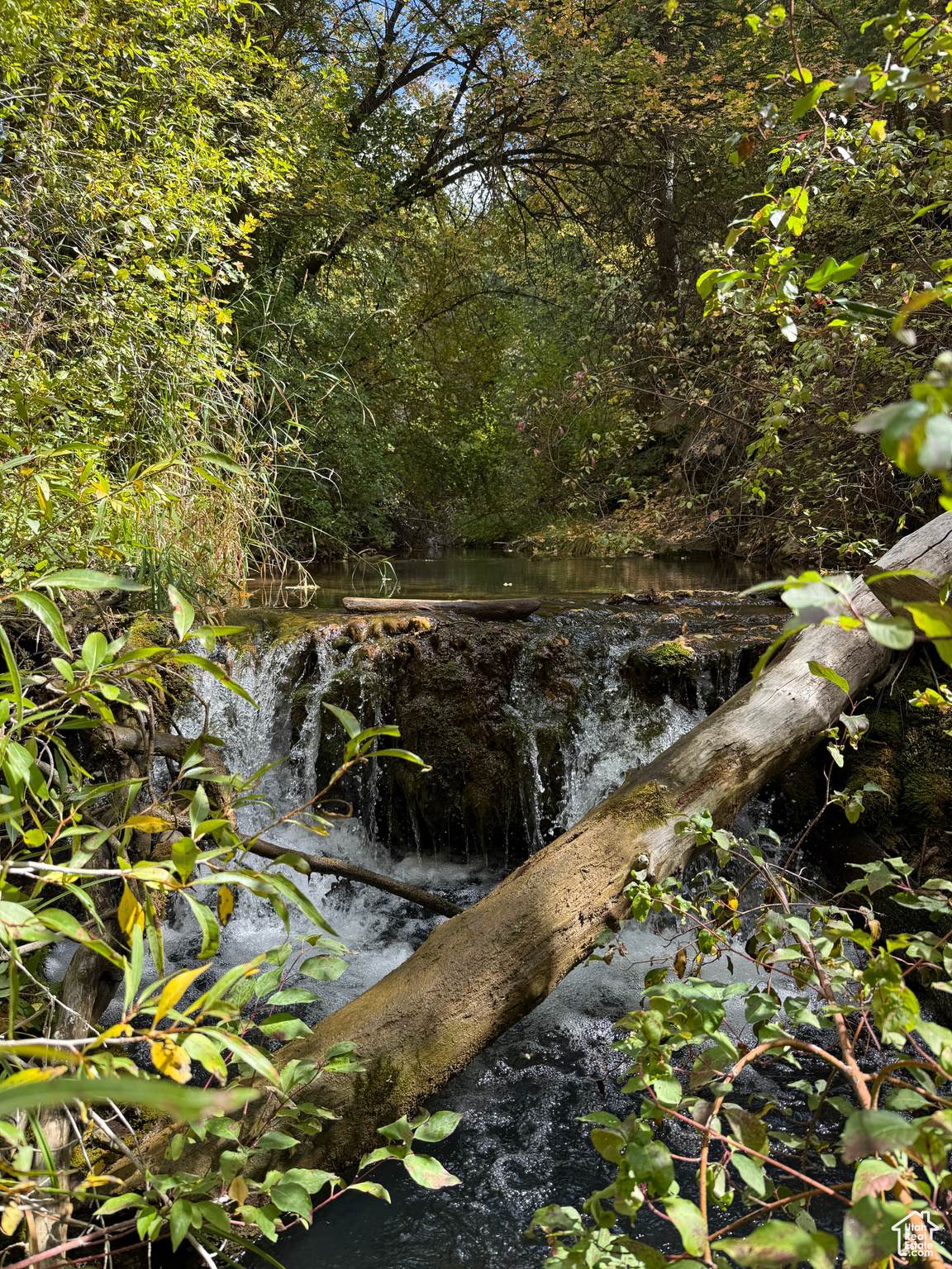 13 Birch Creek Dr - Photo 1