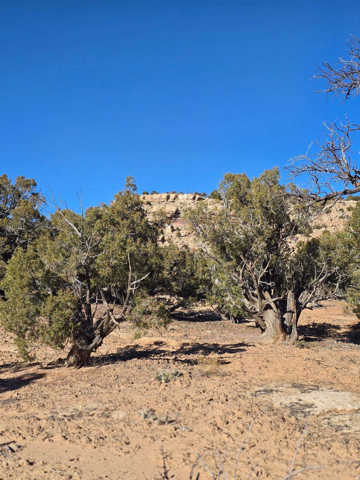  Address Not Published - Photo 1