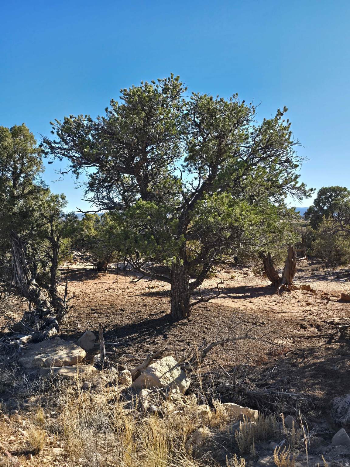  Address Not Published - Photo 1