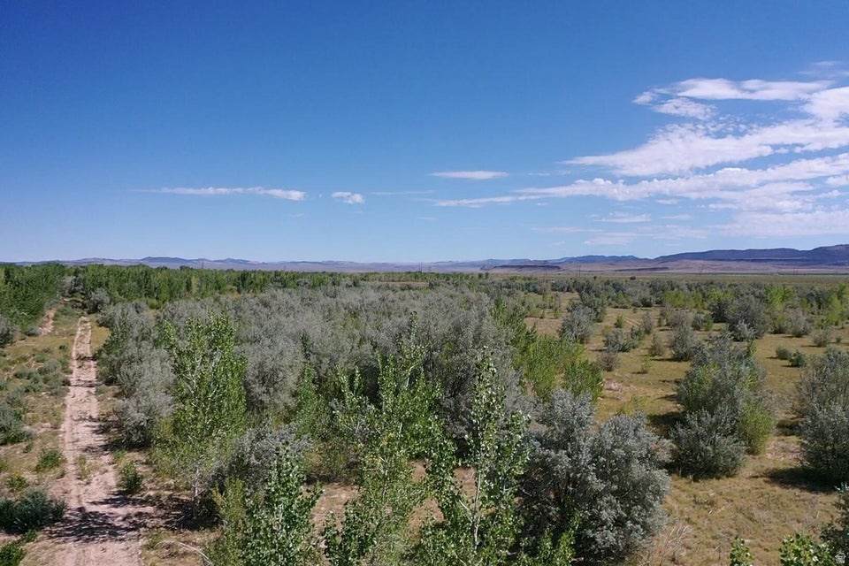 https://bt-photos.global.ssl.fastly.net/wasatch/1280_boomver_2_2133146-1.jpg
