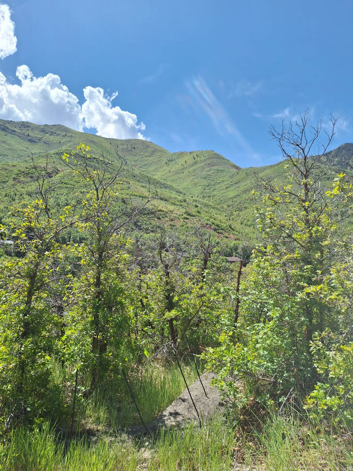 https://bt-photos.global.ssl.fastly.net/wasatch/orig_boomver_2_2137046-1.jpg
