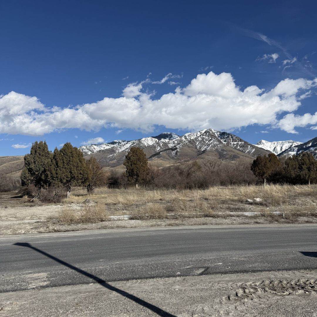 https://bt-photos.global.ssl.fastly.net/wasatch/orig_boomver_2_2138911-1.jpg
