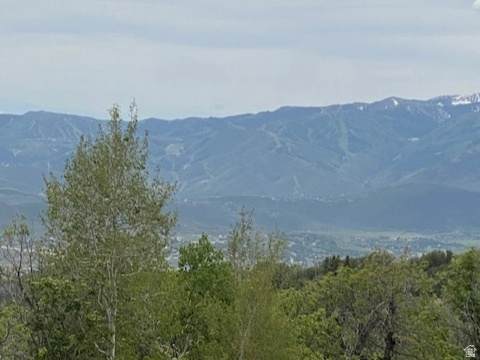 https://bt-photos.global.ssl.fastly.net/wasatch/orig_boomver_2_2144759-1.jpg