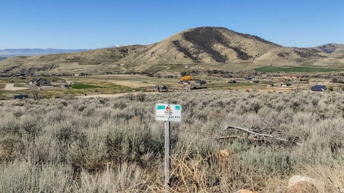 15 Phase 3 Maple Creek Ranchessub - Photo 1