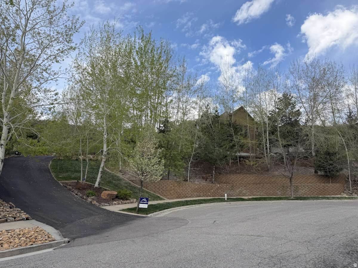 350 Pine Crest Cir - Photo 1