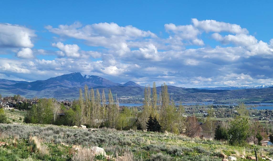 5329 Purple Sage Dr - Photo 1