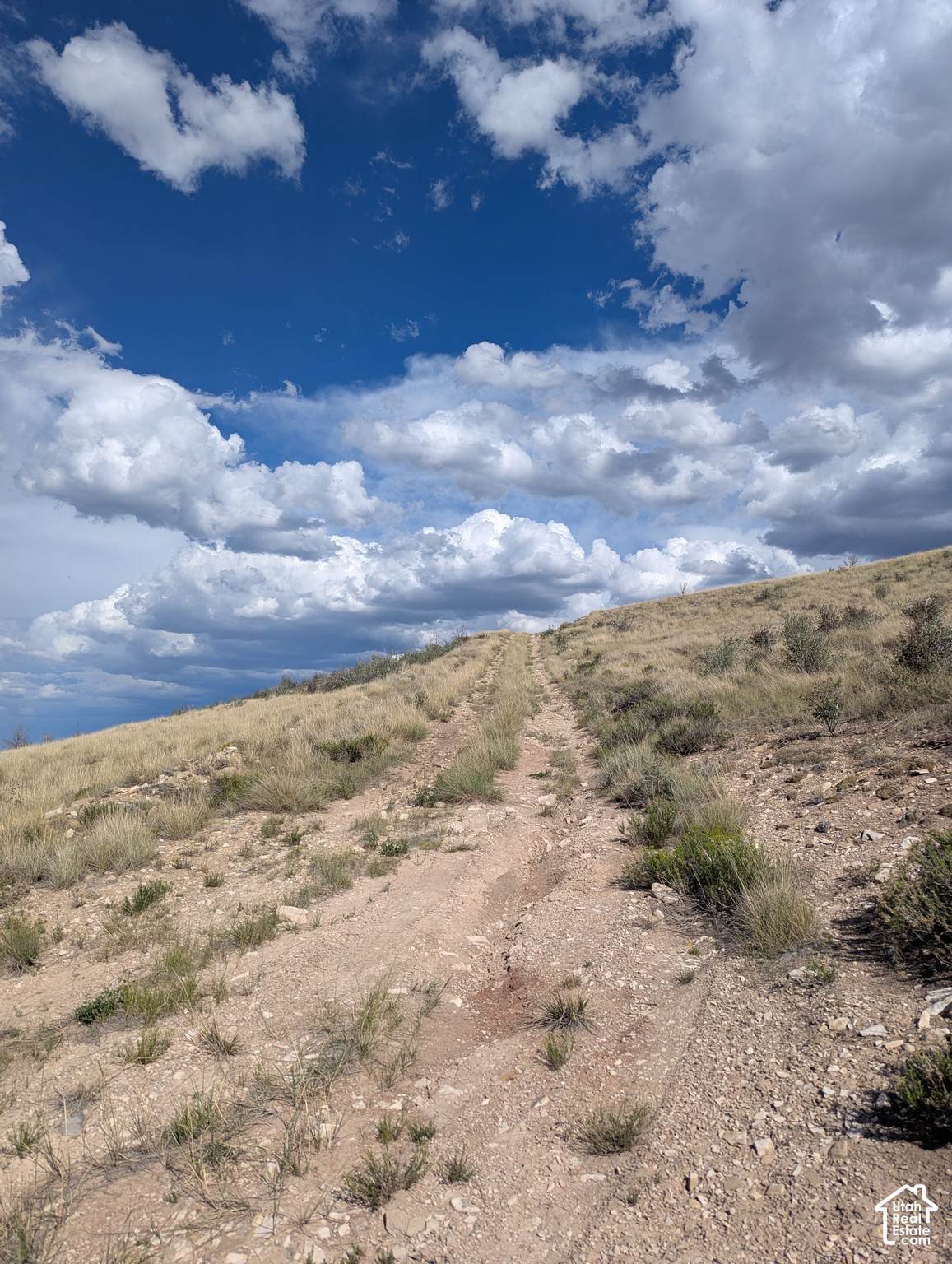 https://bt-photos.global.ssl.fastly.net/wasatch/1280_boomver_3_2151433-1.jpg