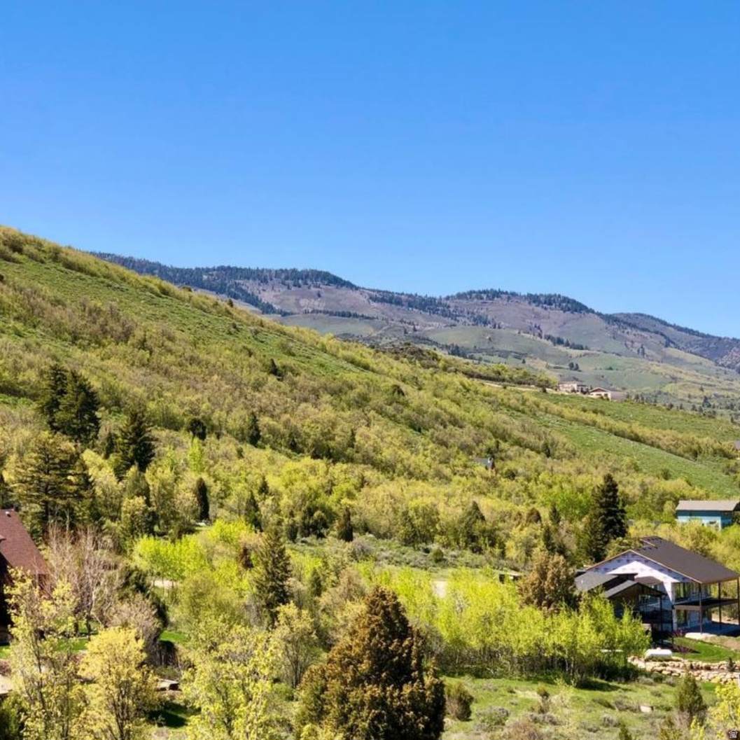 https://bt-photos.global.ssl.fastly.net/wasatch/orig_boomver_2_2151975-1.jpg