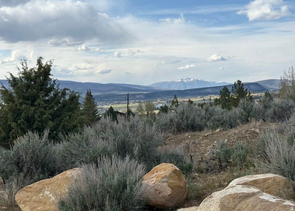 https://bt-photos.global.ssl.fastly.net/wasatch/orig_boomver_4_2155018-1.jpg