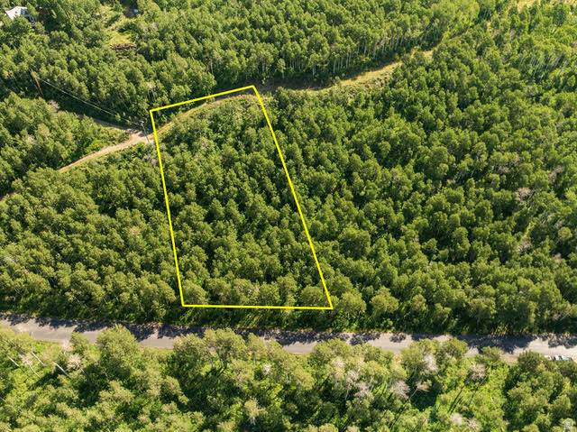 5146 Pine Canyon Rd - Photo 1