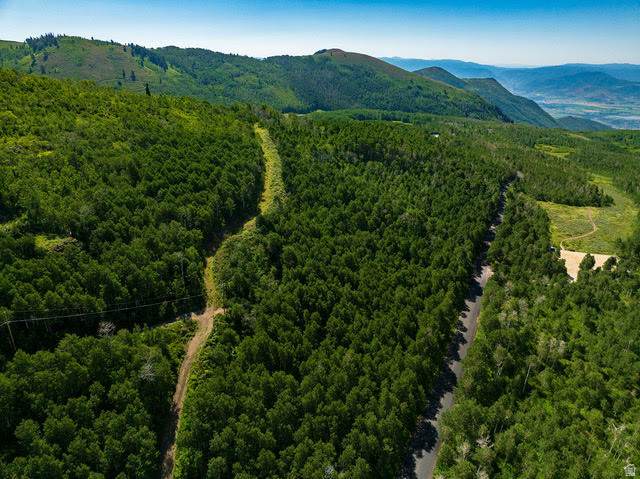 https://bt-photos.global.ssl.fastly.net/wasatch/orig_boomver_2_2155848-1.jpg