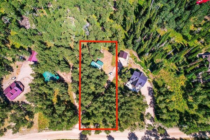 4443 Buck Way - Photo 1
