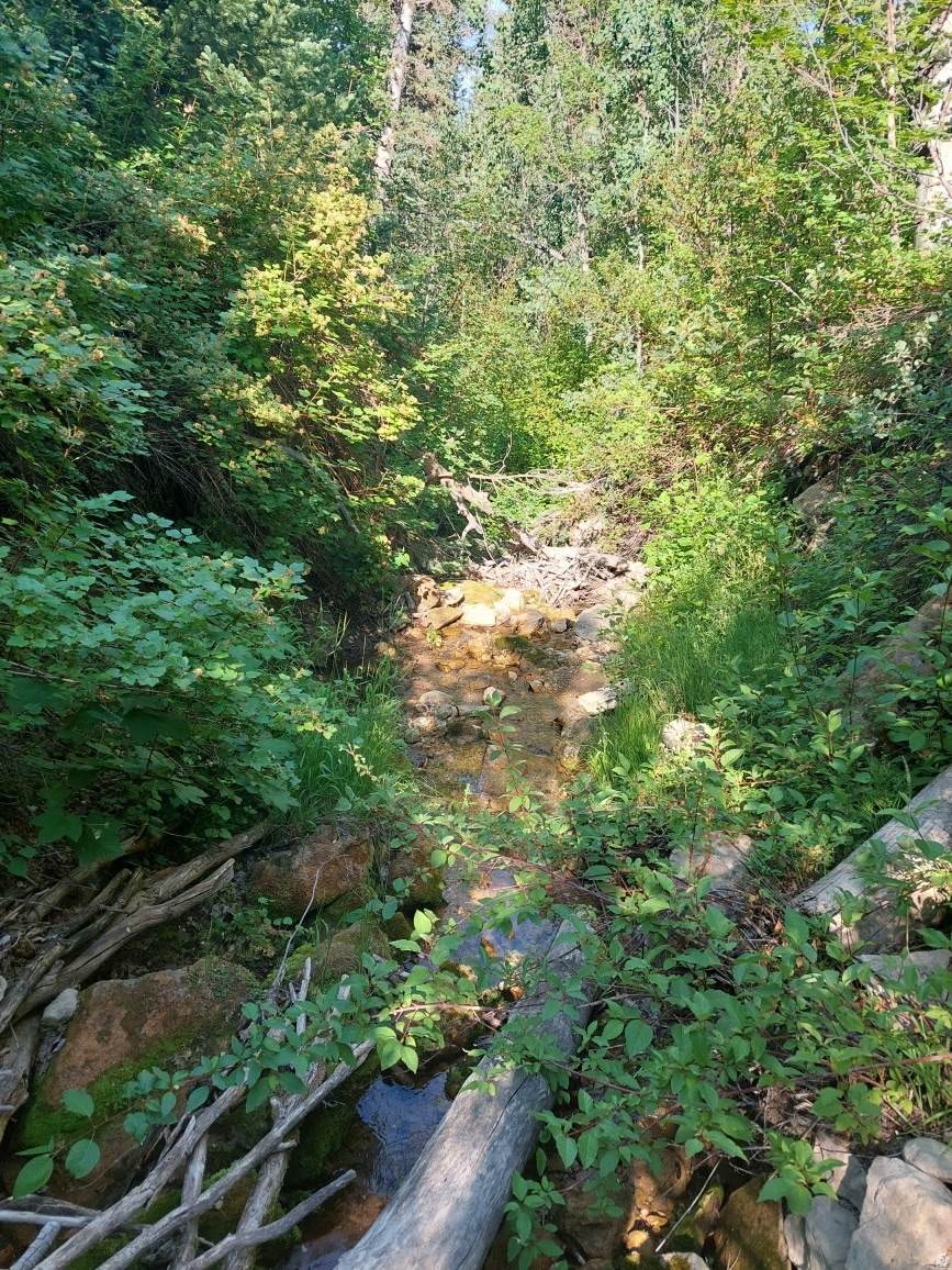 https://bt-photos.global.ssl.fastly.net/wasatch/orig_boomver_2_2170582-1.jpg