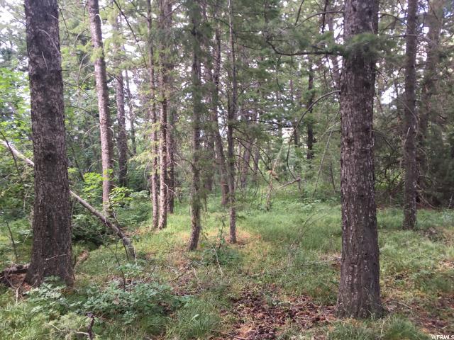 55 Mill Canyon Rd - Photo 1