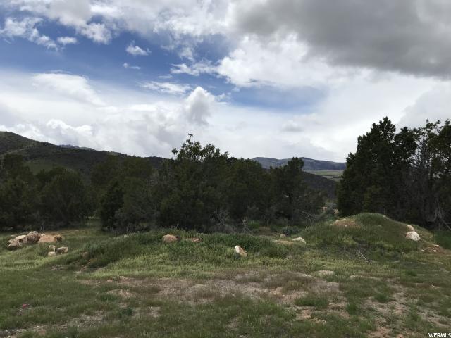 5237 Cougar Run - Photo 1