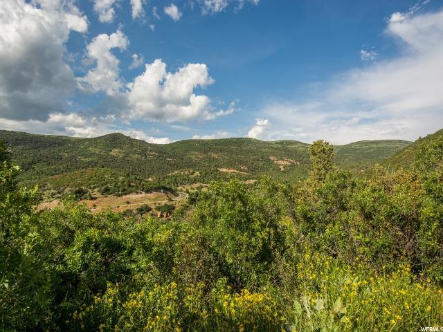 8423 Lake Pines Dr Dr - Photo 1