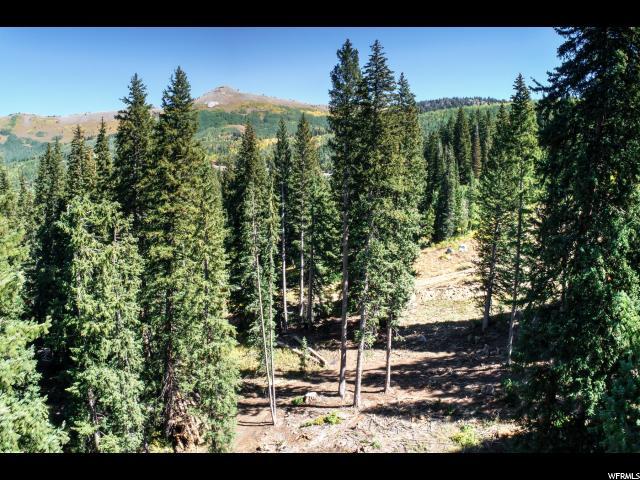 7799 Nordic Trail Ln - Photo 1