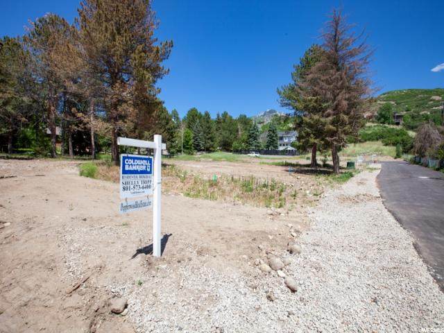 10253 Dimple Dell Rd - Photo 1