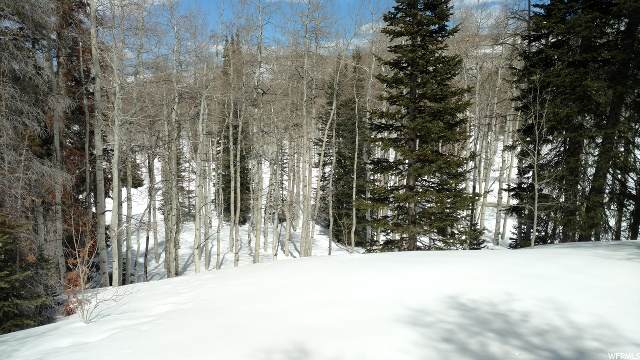 4498 Buck Way - Photo 1