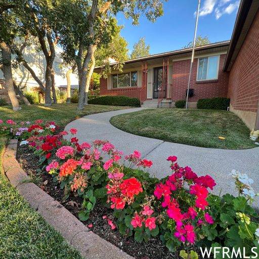 3220 Nila Way - Photo 1