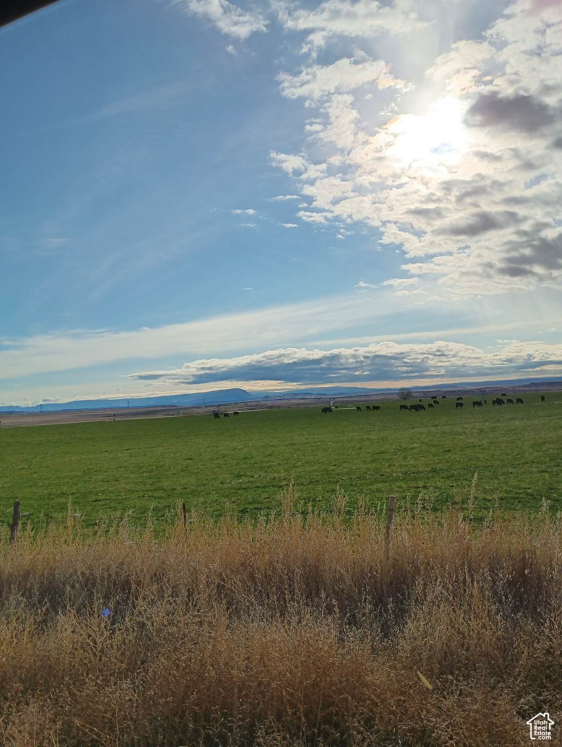 4962 Highway 88 - Photo 1