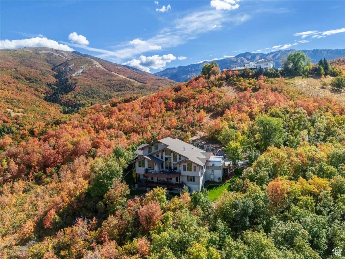 2679 Wood Hollow Way - Photo 1