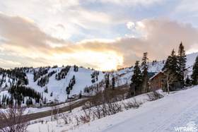 6838 Aspen Dr - Photo 1